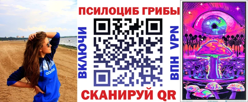 Купить закладки  Ельня  Псилоцибиновые грибы прущие грибы 